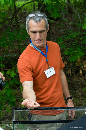 Dr. Tim Patton