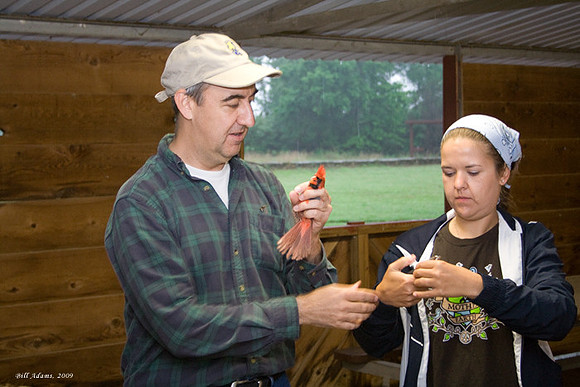 Dr. Doug Wood and Tina banding a Cardinal